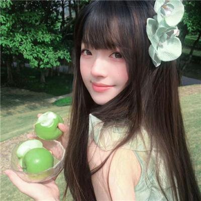 蒙古王