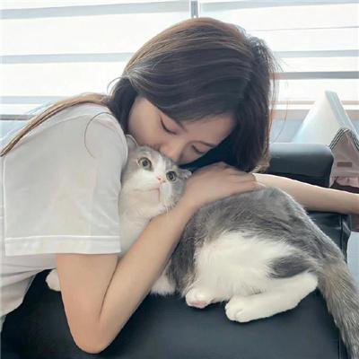 布朗蒂姊妹